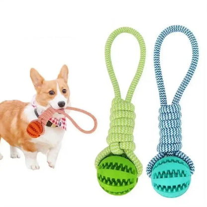Interactive Treat Ball Dog Toy