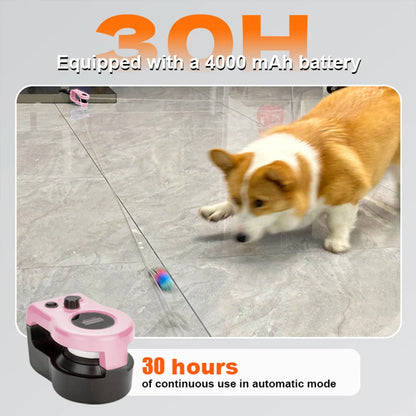 Interactive Cat Running Wheel