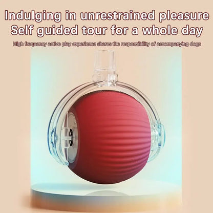 Smart Cat Toy Ball