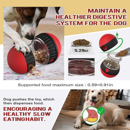 Interactive IQ Dog Toy