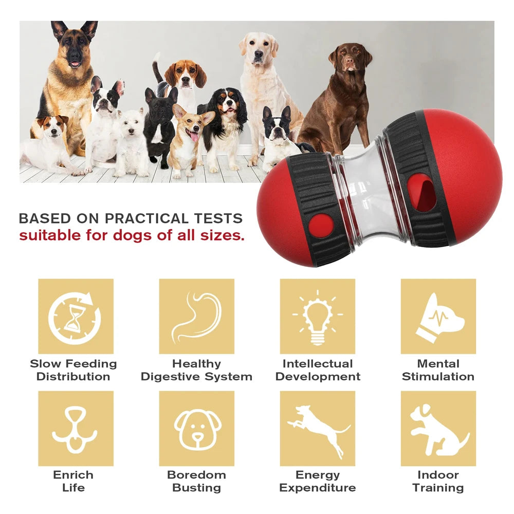 Interactive IQ Dog Toy
