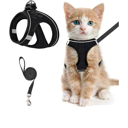 Escape-Proof Cat Harness Set