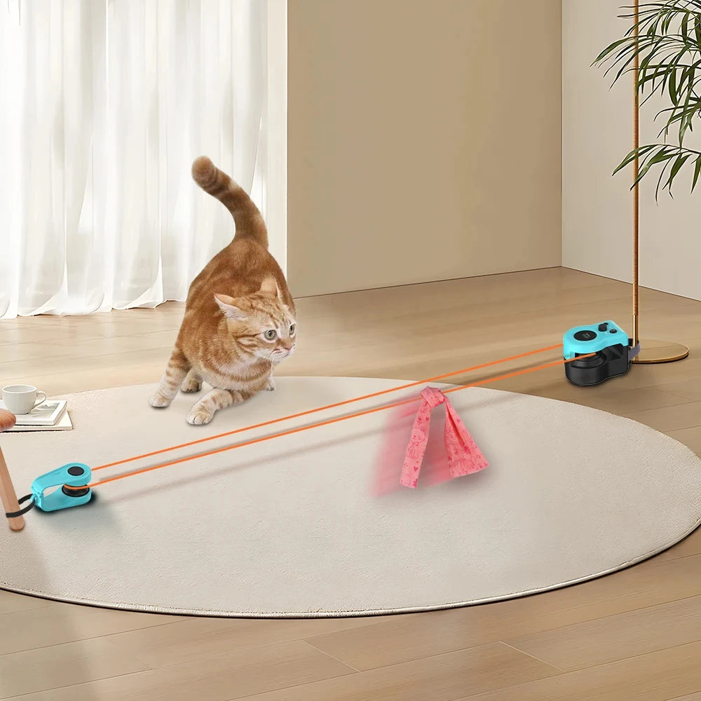 Interactive Cat Toy Wheel Exerciser