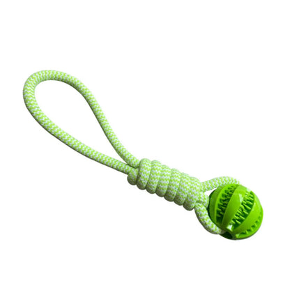 Interactive Treat Ball Dog Toy