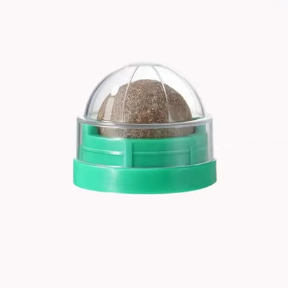 Catnip Wall Ball Toy