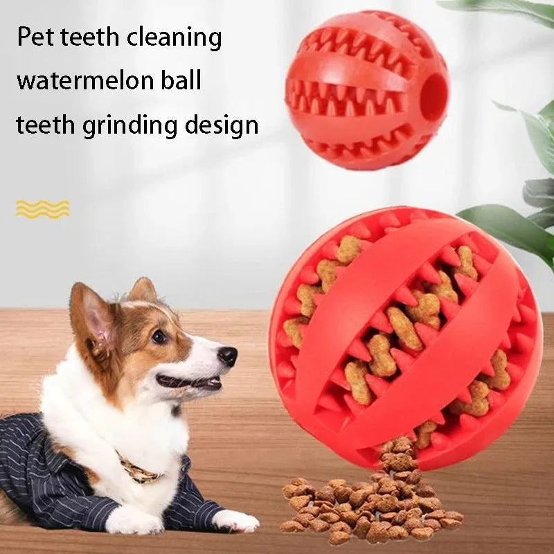 Natural Rubber Chew Toy for Dogs