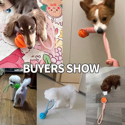 Interactive Treat Ball Dog Toy