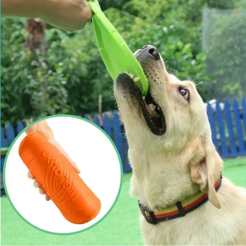 Multicolor Silicone Frisbee Dog Toy