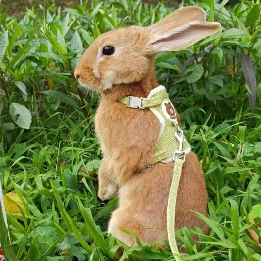 Rabbit Harness Leash Set