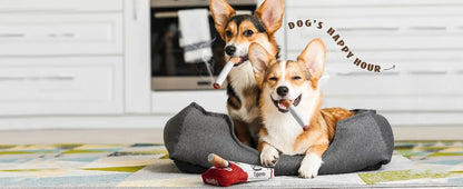 Funny Interactive Plush Dog Toy