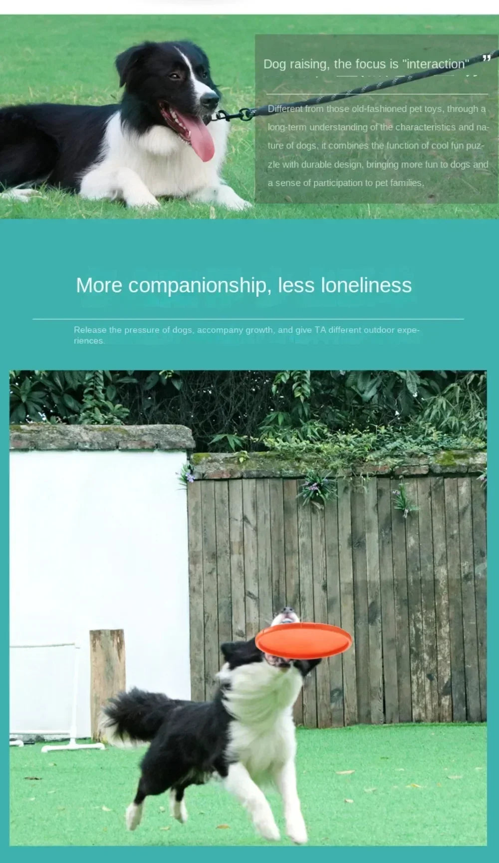 Multicolor Silicone Frisbee Dog Toy