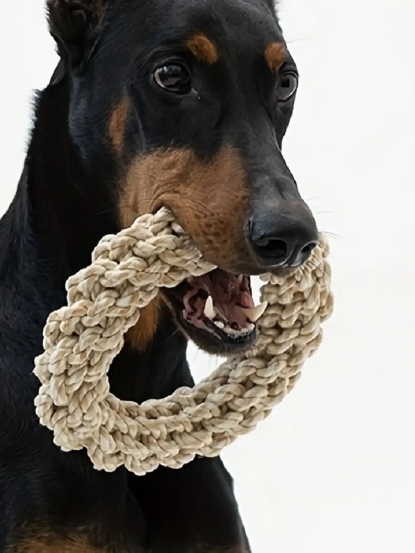 Durable Rope Dog Toy