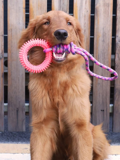 Interactive Training Pet Toy Ring