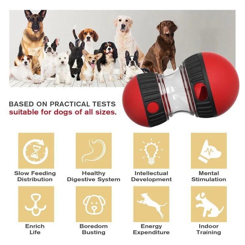 Interactive IQ Dog Toy