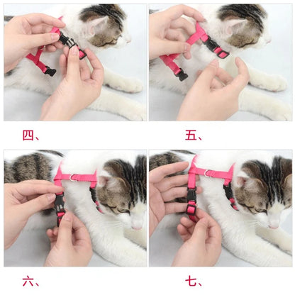 Nylon Pet Harness Set