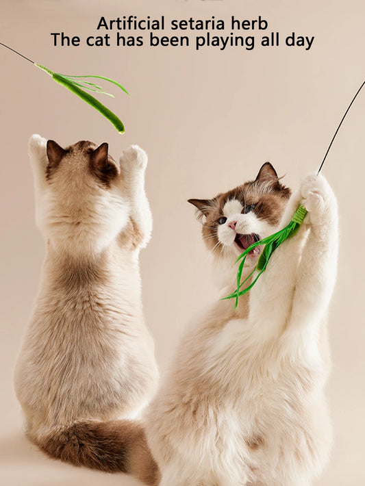 Kimpets Cat Teaser Wand