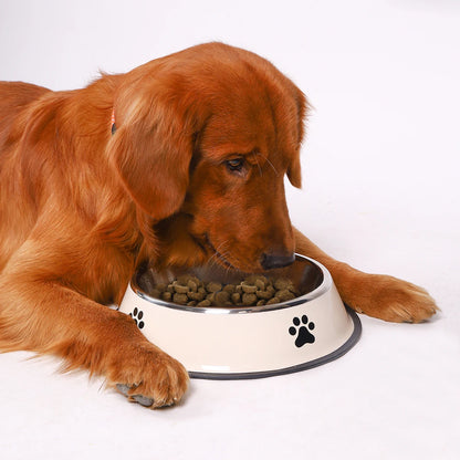 Stainless Steel Pet Bowl