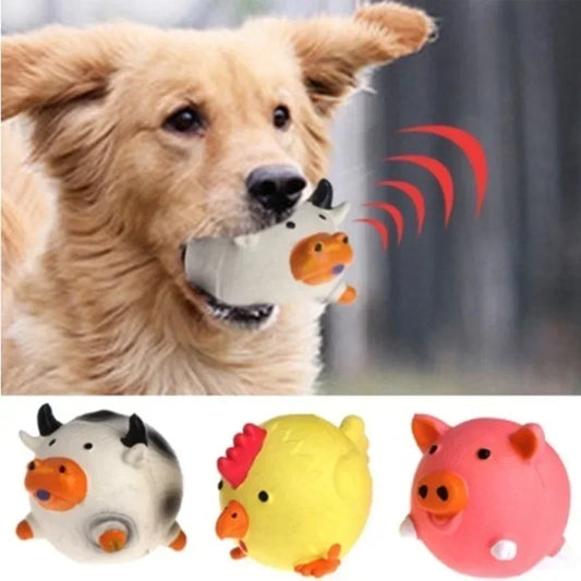 Dog Squeaky Toy