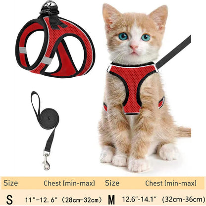 Escape-Proof Cat Harness Set