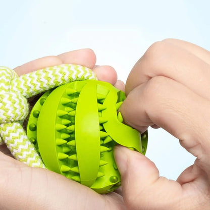 Interactive Treat Ball Dog Toy