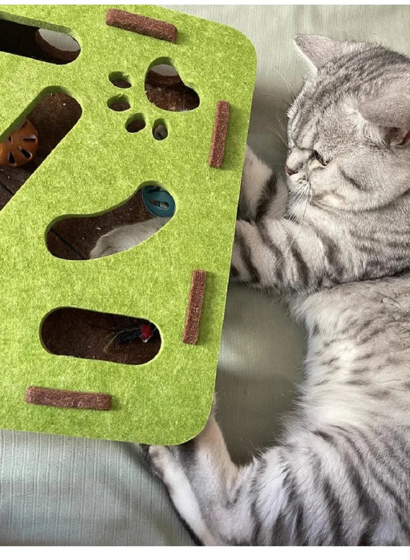 Pet Cat Puzzle Maze Toy