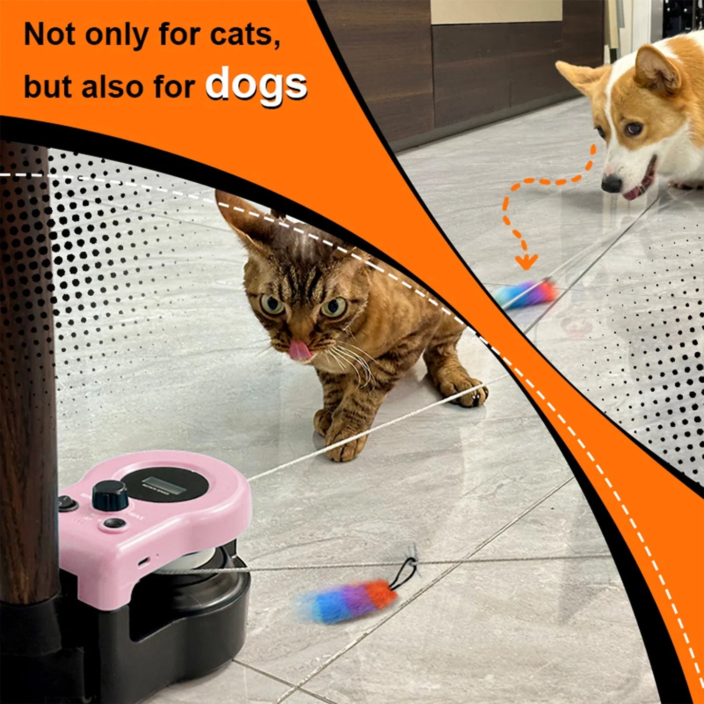 Interactive Cat Running Wheel