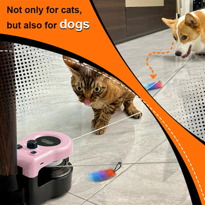 Interactive Cat Running Wheel