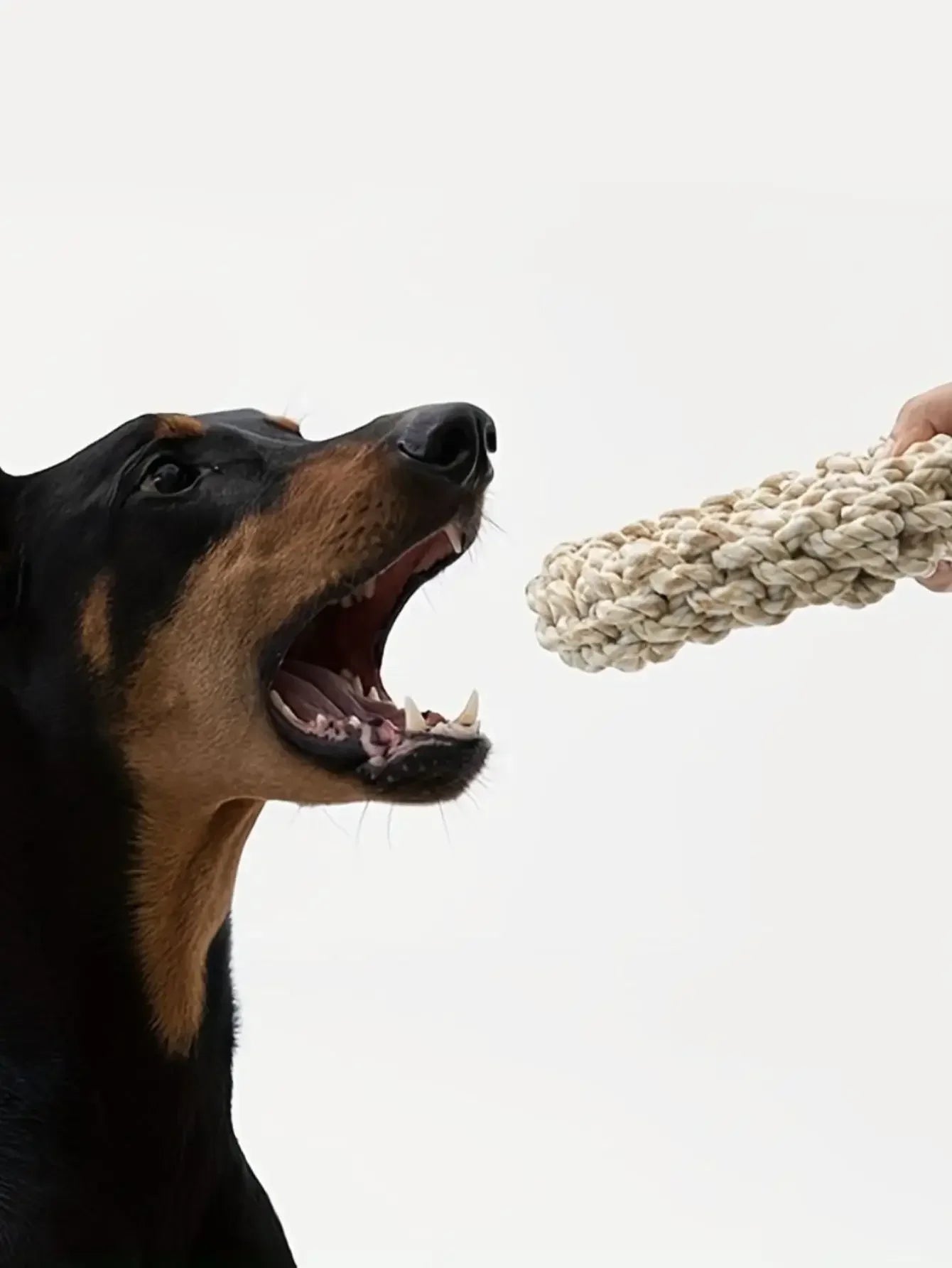 Durable Rope Dog Toy