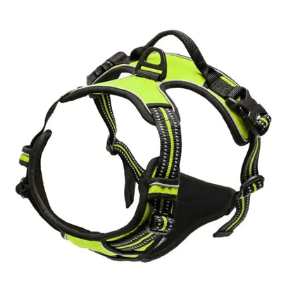Leather Dog Harness Set