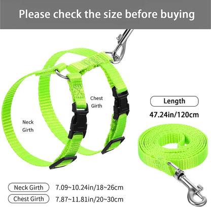 Nylon Pet Harness Set