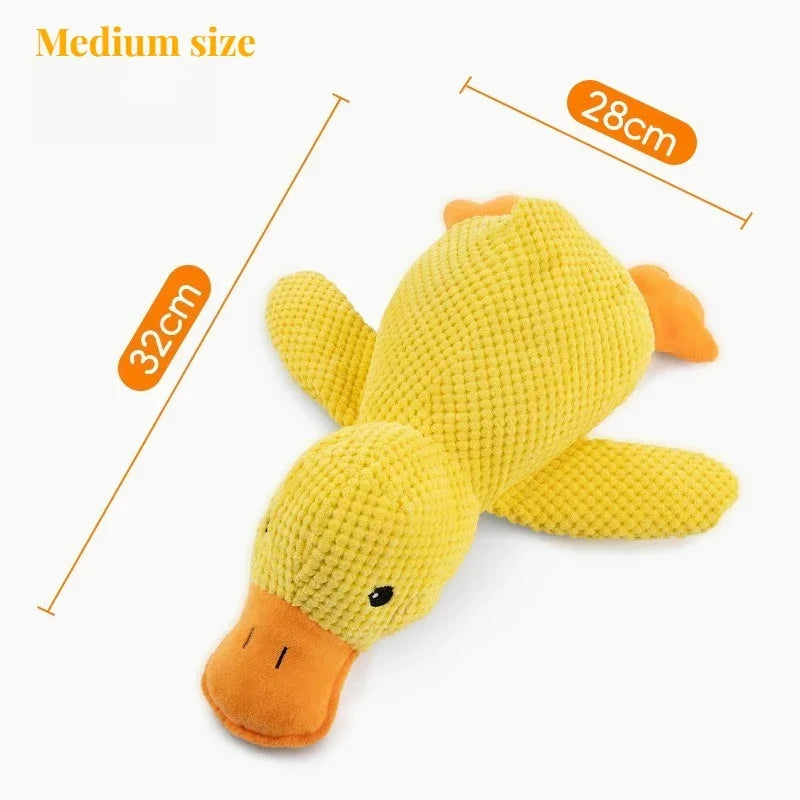 Plush Squeaky Dog Toy