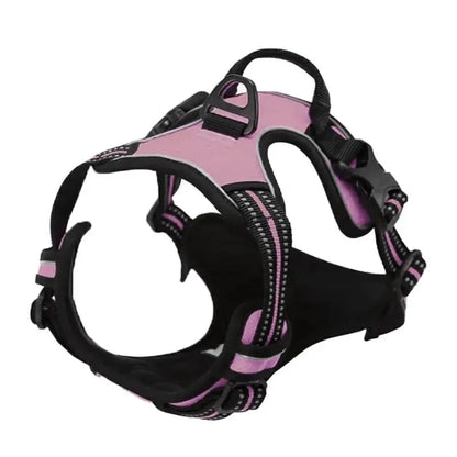 Leather Dog Harness Set