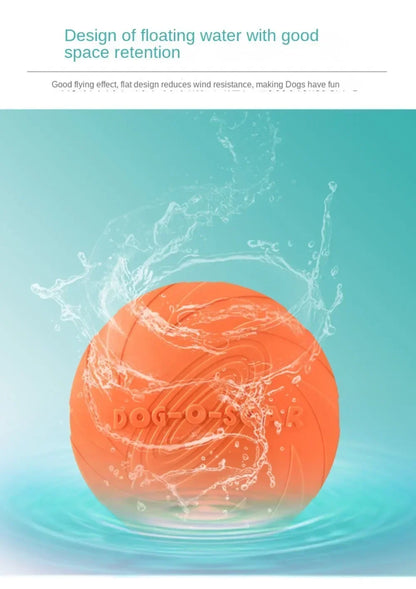 Multicolor Silicone Frisbee Dog Toy