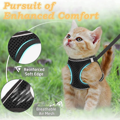 Escape-Proof Cat Harness Set
