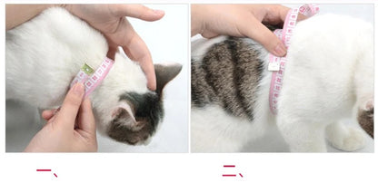 Nylon Pet Harness Set