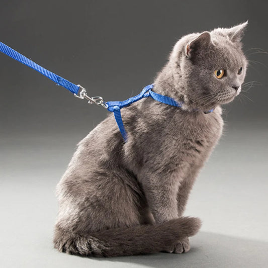 Nylon Pet Harness Set