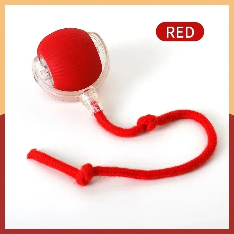 Automatic Rolling Ball Pet Toy