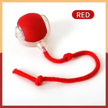 Automatic Rolling Ball Pet Toy