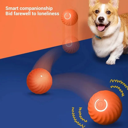 Automatic Moving Dog Toy Ball