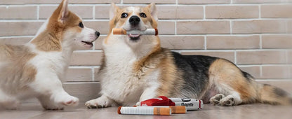 Funny Interactive Plush Dog Toy