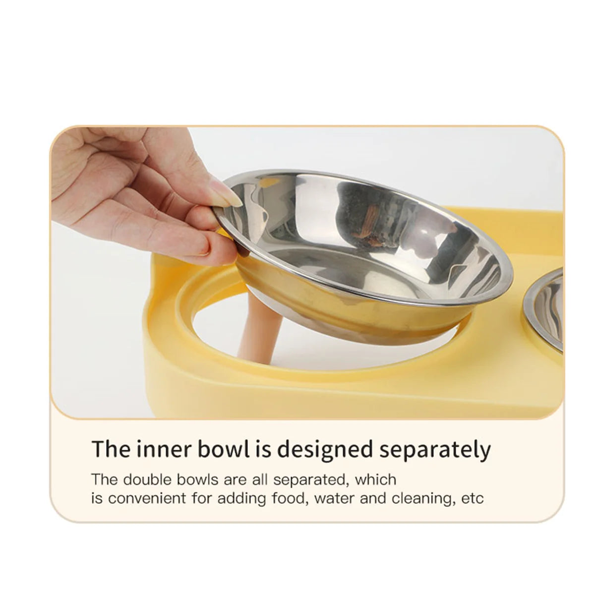 Colorful Dopamine Pet Double Bowl