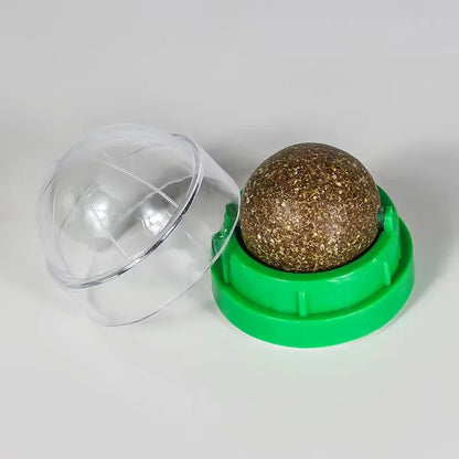 Catnip Wall Ball Toy