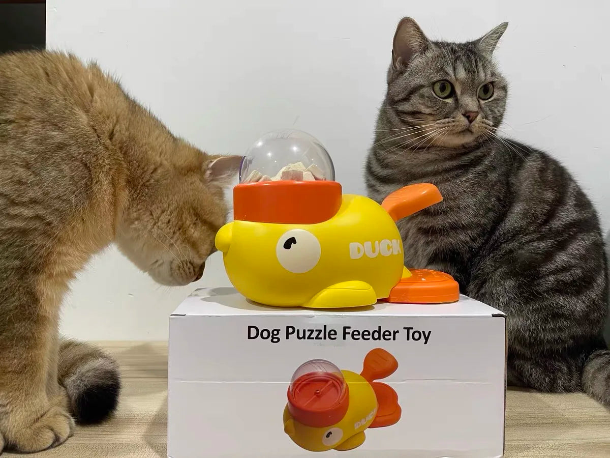 Pet Automatic Food Treat Dispenser
