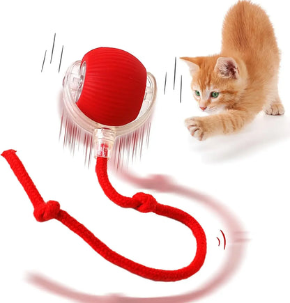 Automatic Rolling Ball Pet Toy