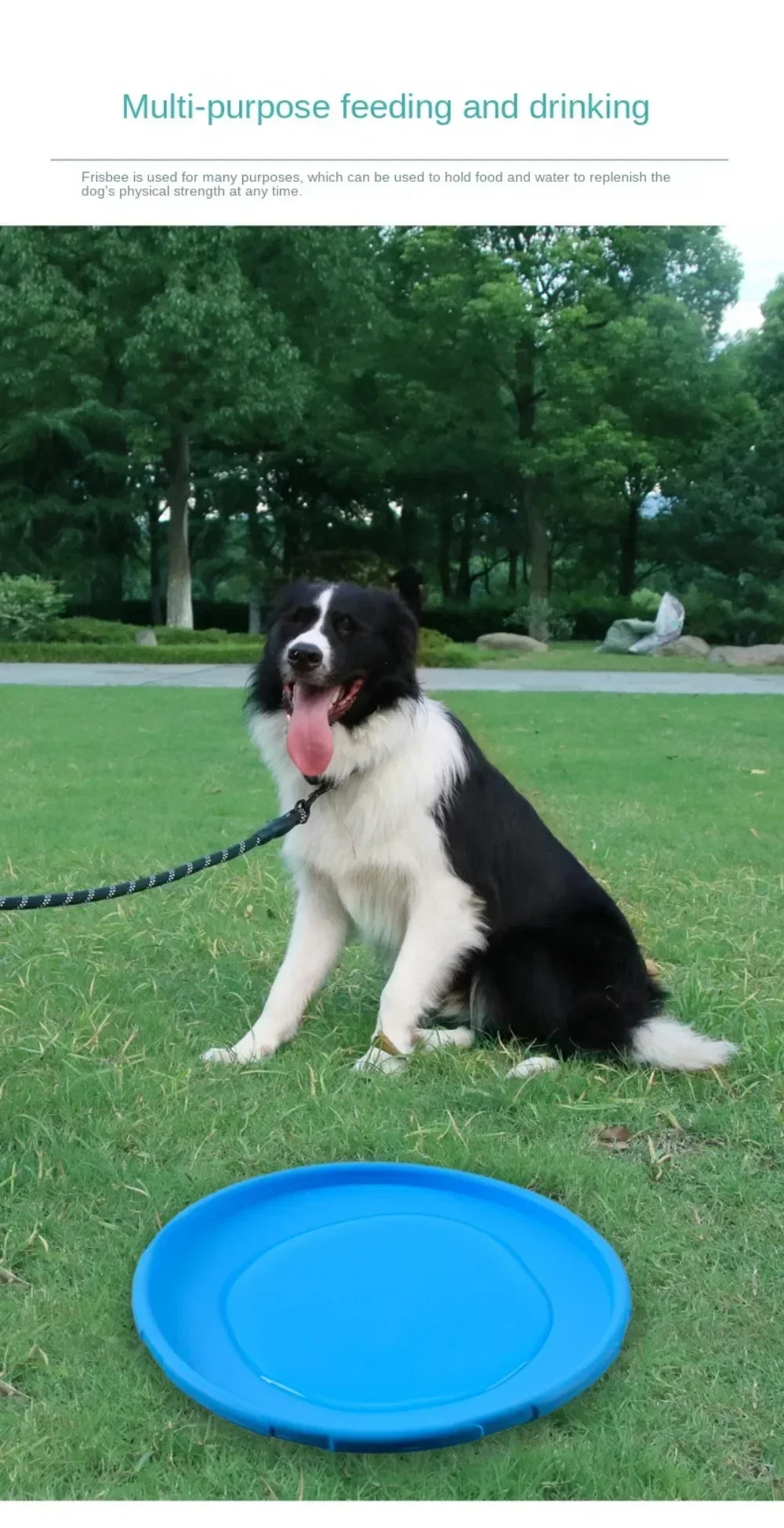 Multicolor Silicone Frisbee Dog Toy