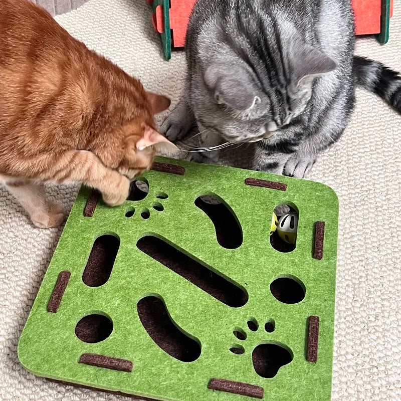 Pet Cat Puzzle Maze Toy