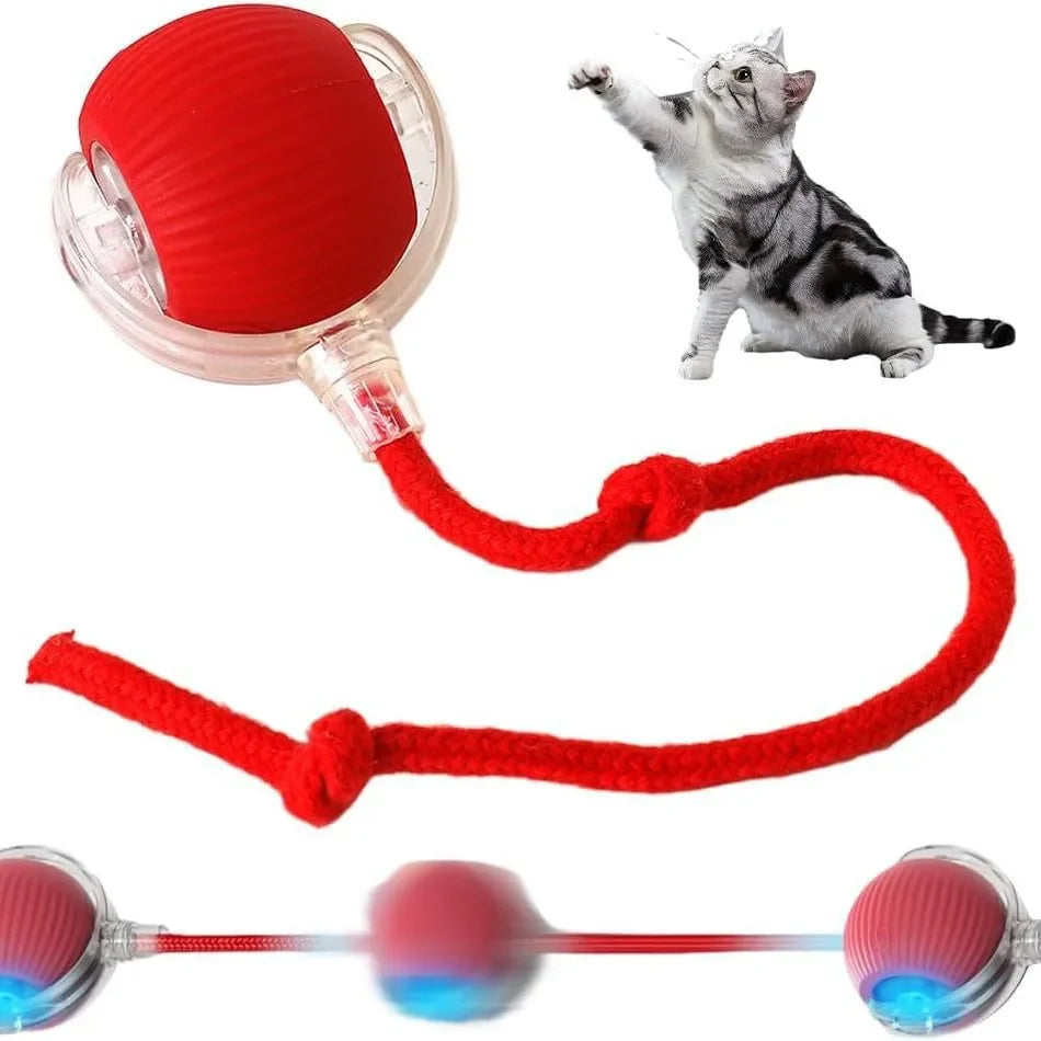 Automatic Rolling Ball Pet Toy