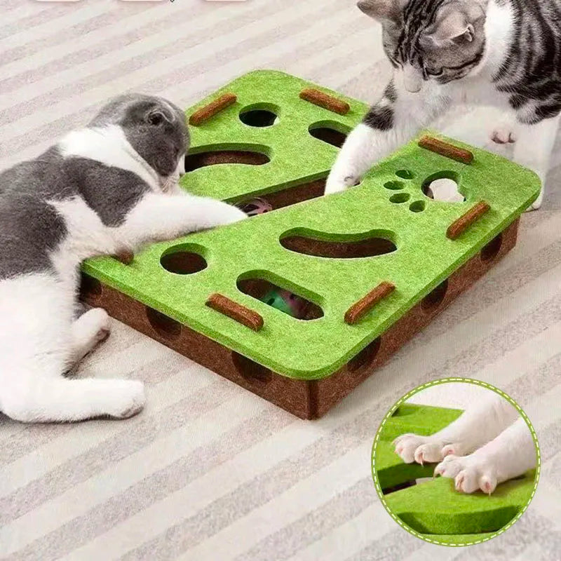 Pet Cat Puzzle Maze Toy