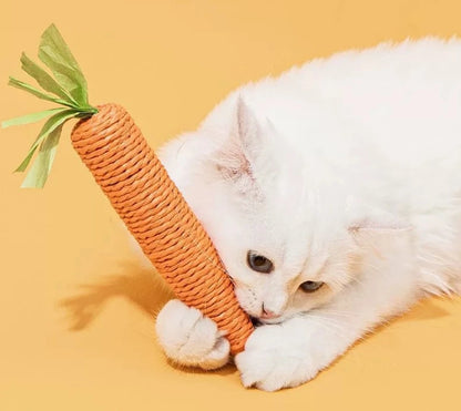 Carrot Cat Teether Toy