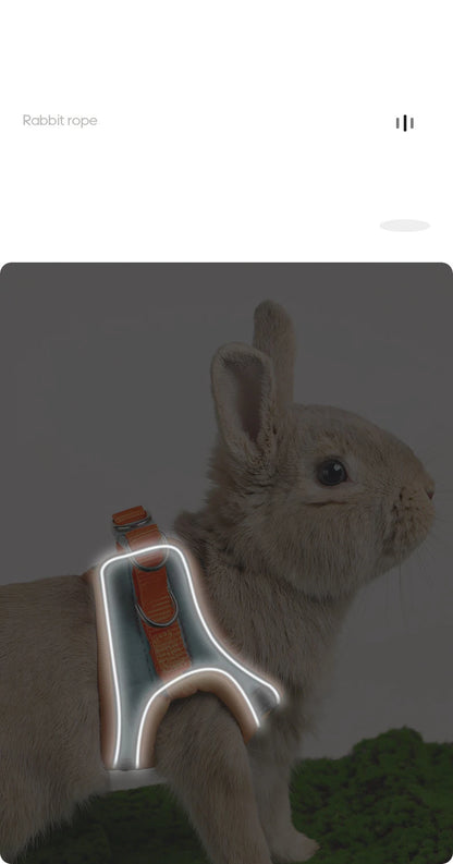 Adjustable Bunny Harness Set